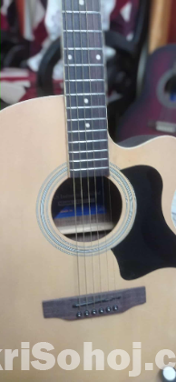 AS semi acoustic guiter